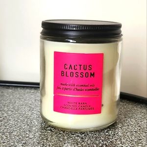 Cactus Blossom Single Wick Candle Jar by Bath and Body Works